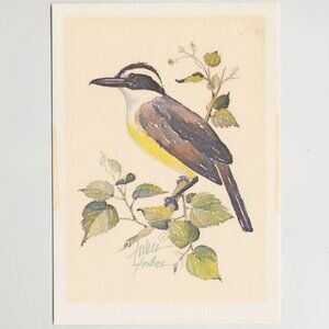 Joan Forbes Signed PRINT of Water Color Bird Painting - 1990s